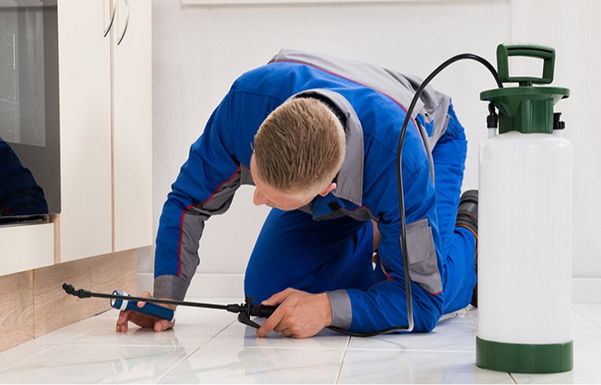 Service Pest Control