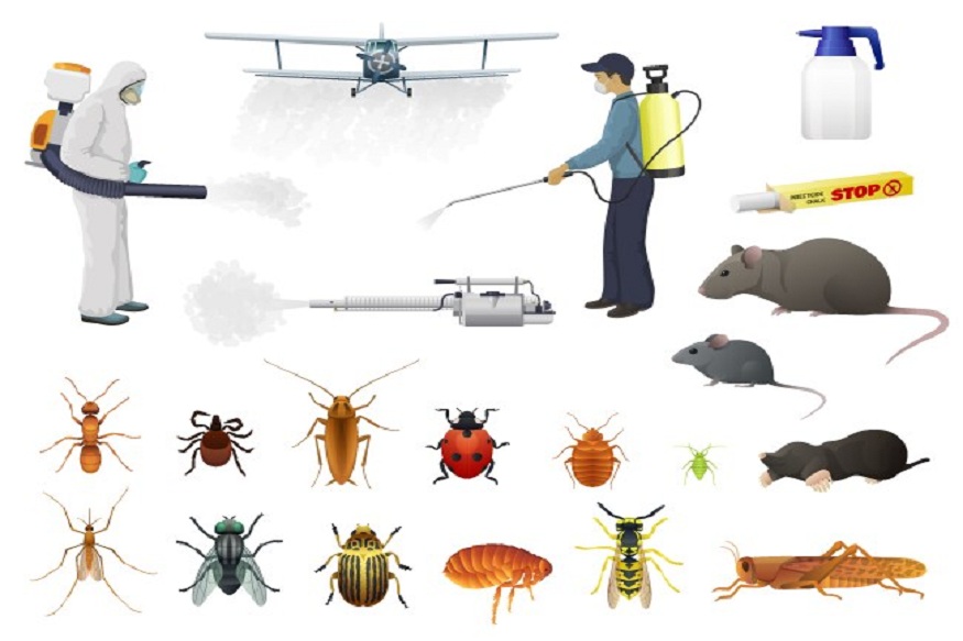 Pest Management Tips