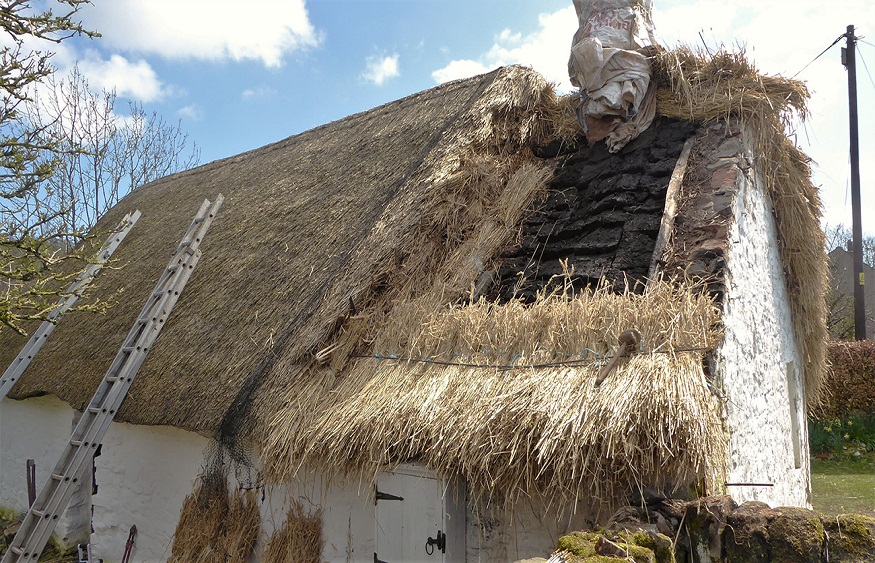 Thatch roofing